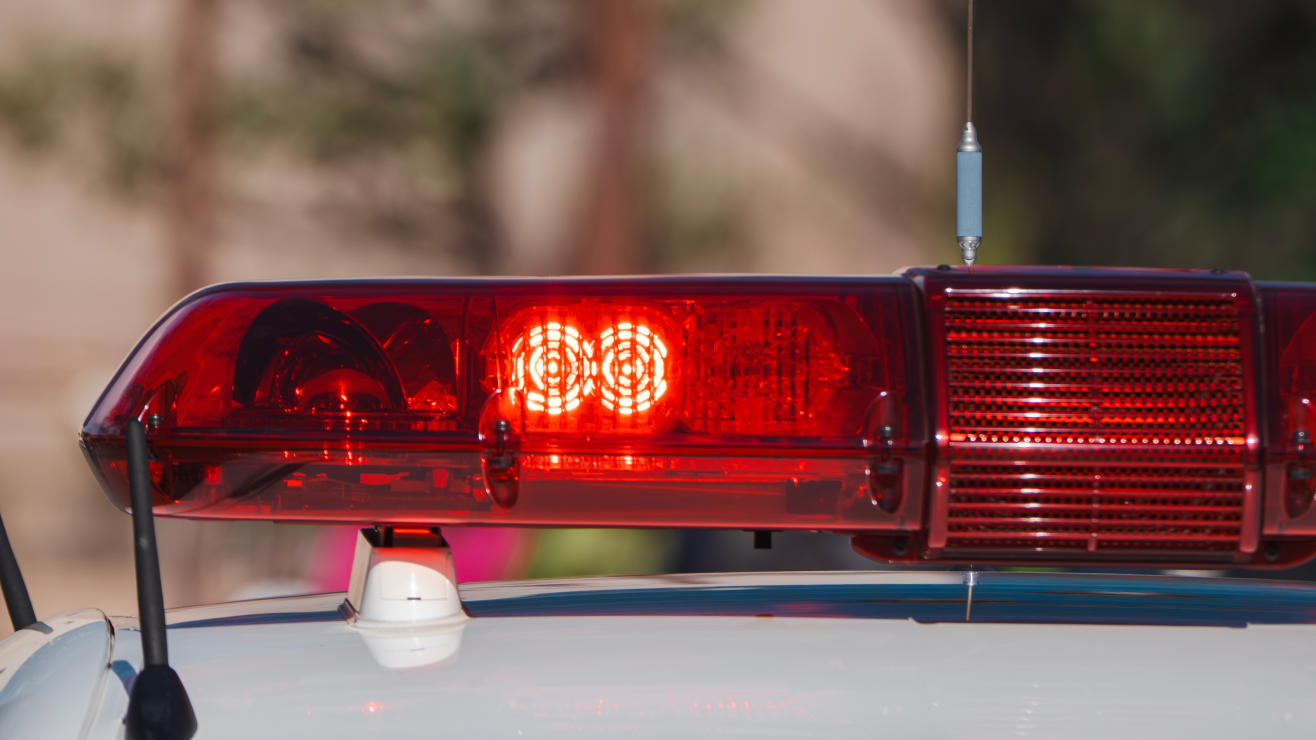 Ernest Heinz, actor que apareció en ‘Los Soprano’, fue acusado de 31 cargos tras un tiroteo