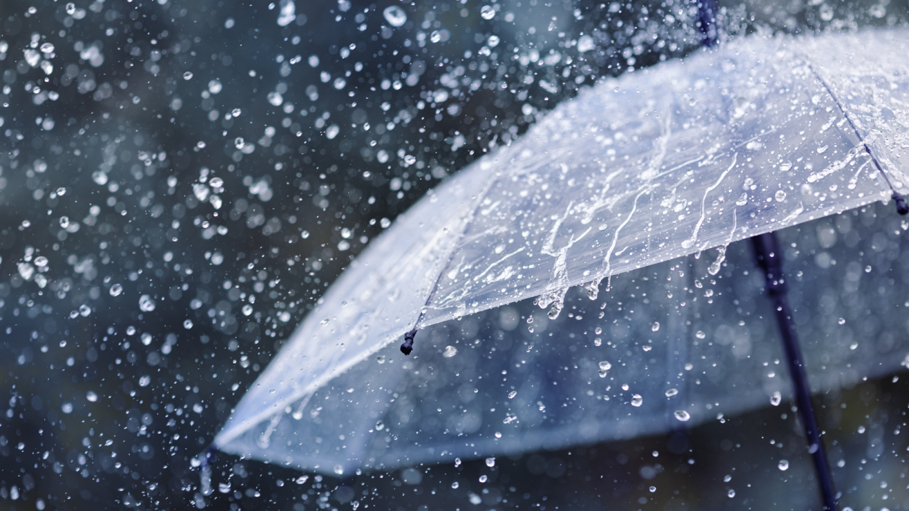 ¿Cómo afectó el temporal a Nueva York, NJ y Connecticut?