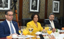 Empresarios dicen el país necesita de un estudio para aplicar una política de horario diferenciado
