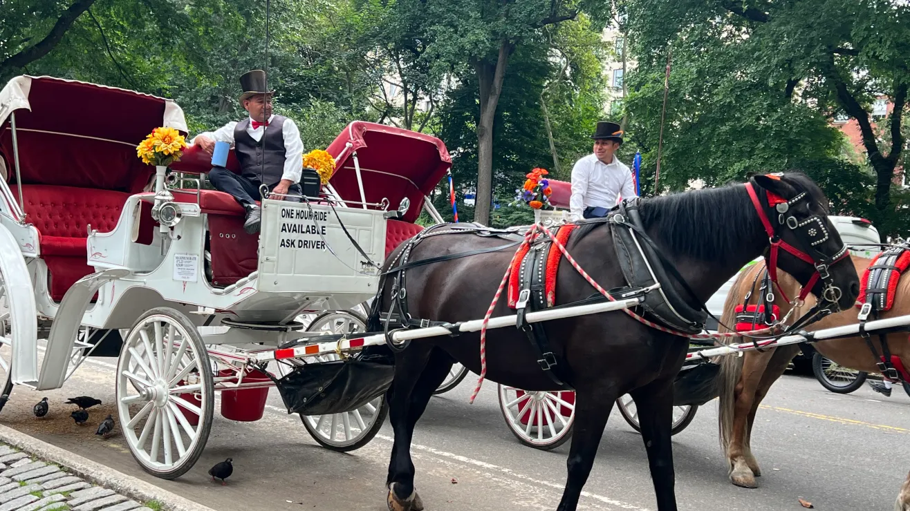 A todo galope batalla por carruajes de caballos en Central Park