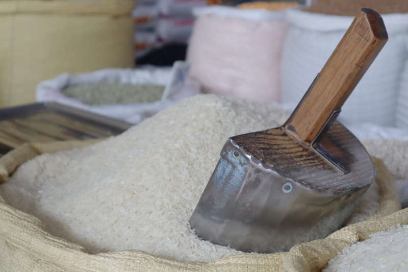 Sector arrocero muestra preocupación ante derogación de aranceles a la importación de arroz