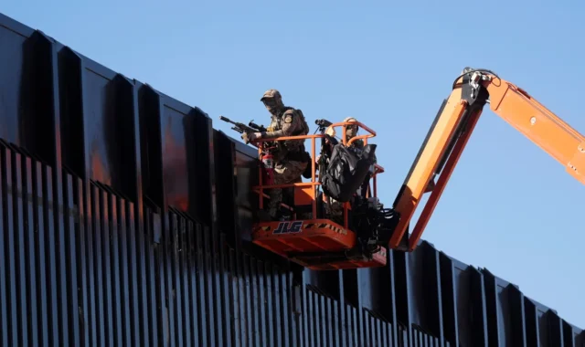 Árbol centenario es talado en Arizona para construir el muro fronterizo pese al rechazo